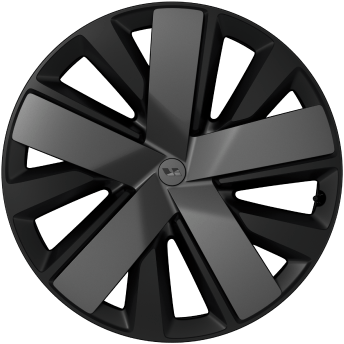 21-inch Black Five-Spoke Wheels
