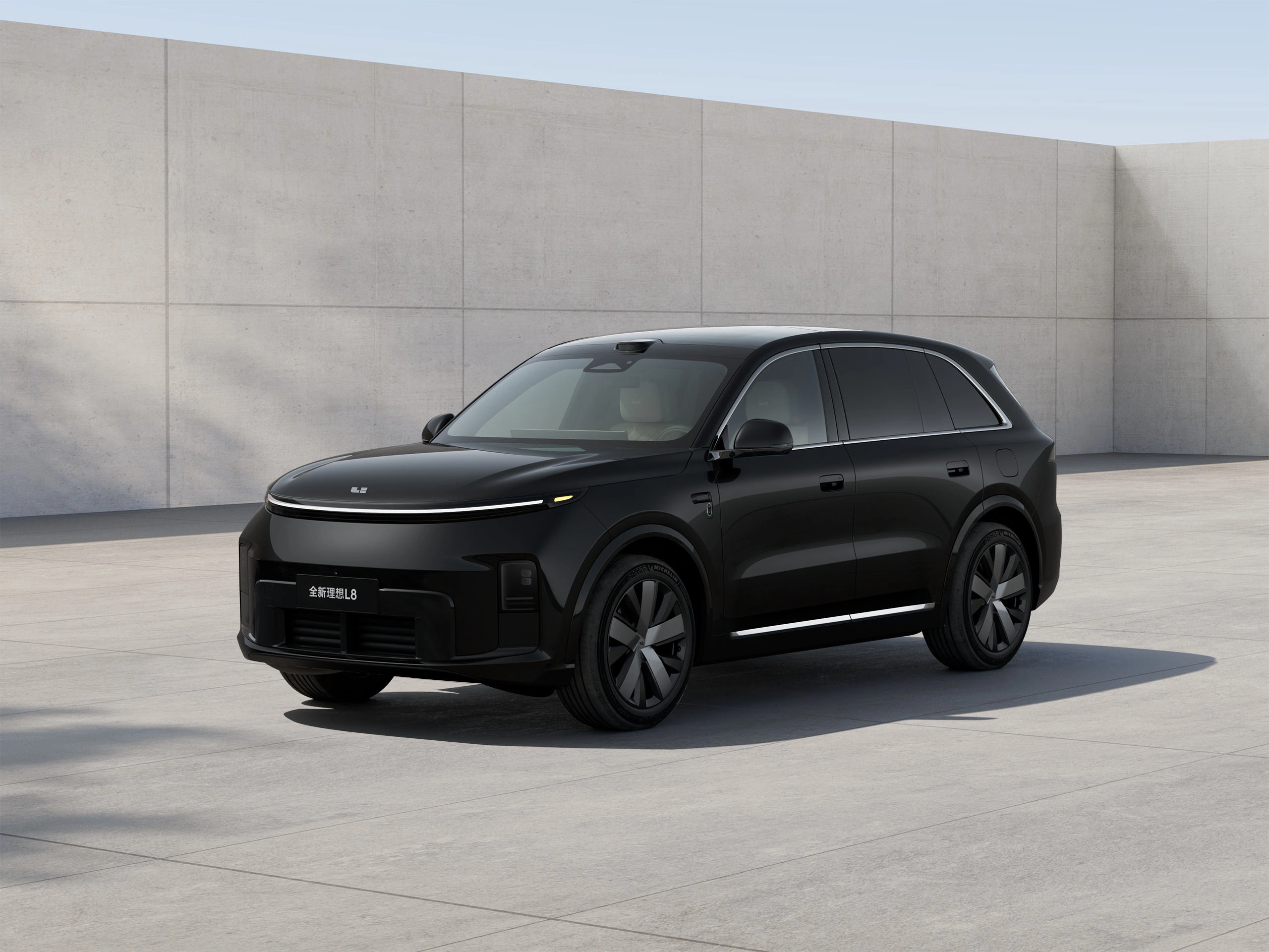 Diamond Black Metallic